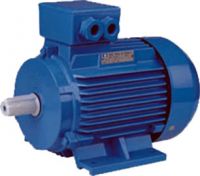 Sell 3-phase asynchronous motor, Y2 series induction electric motor