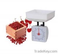 Sell 1KG KCI-2 weight scale