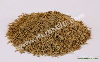 Quality Bulk Cumin Seed Whole for sell