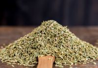 Offer for Natural Green Fennel Seeds