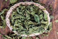 Egyptian Offer For Dried Mallow with Competitive Price