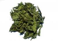 Whole Dried Molokhia leaves Competitive Price