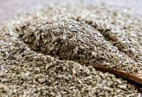Sell Offer Oregano in Bulk