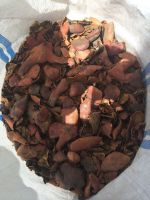 Egyptian Pomegranate Shell / FCL