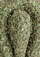Dry Mint Offer / Strong Aroma in Bulk