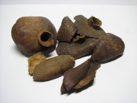 Offer for Bulk Pomegranate Husk / FCL