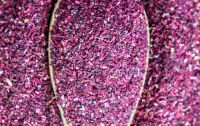 Hibiscus TBC
