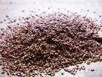 Flax Linum Usitatissimum