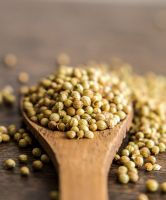 Coriander Seed