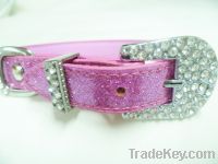 custom newest pet collar, durable dog collar with stainless steel buckl
