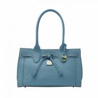 elegant and fashionable handbag