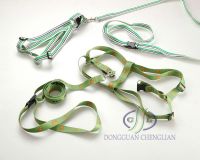 Sell Dog Leash (CL-059)