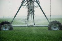 Agricultural center pivot sprinkler spraying irrigation