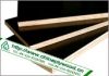 Sell film faced plywood, plywood, block board