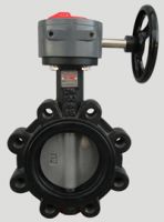 Sell 260D manual  butterfly valve