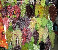 Sell artifical fruit/artifical grape