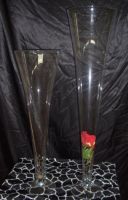 Crystal Flower vase