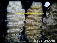 Human hair  collections!!! Hot offer! Remy human hair