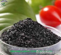 Sell Potassium Humate Shiny Flake (Instant water soluble)