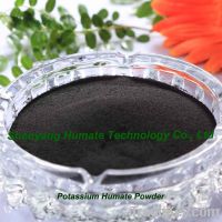 Sell Potassium Humate Powder 100% Water Soluble