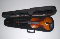 Sell plywood violin at 20$US