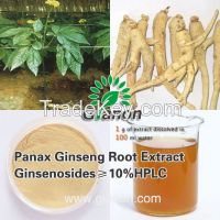 Sell Panax Ginseng Root Extract Ginsenosides 20%HPLC