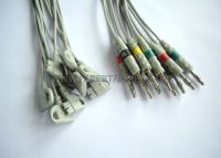 Supply EKG cable, SAMPLE FREE