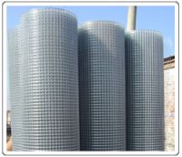 Sell Gal. wedled wire mesh