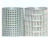 Sell welded wire mesh fo construction