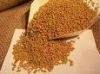 Fenugreek Extract