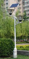 Solar Landscape Lighting