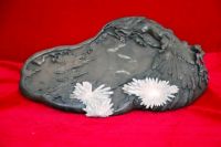 Sell chrysanthemum stone-original stone1