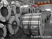 Sell Galvanized Steel Coils