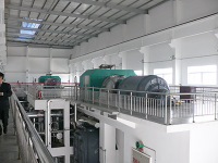 Biomass gas generators