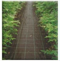 Sell Weed control mat,Ground cover,Weed barrier