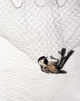 Sell Mist bird capture net