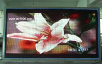 sell outdoor LED advertising display
