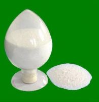 Calcium Stearyl Lactylate [CSL]