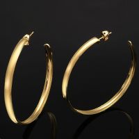 E119 -  23 Ct Gold Layered Hoop Earrings