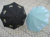 Sell high quality fashion umbrellas