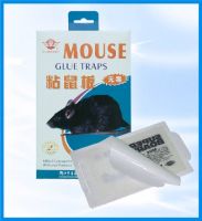 Sell Mouse Glue Traps, Glue Boards