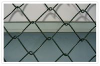 Sell Diamond Wire fence
