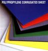 pp sheet polypropylene corrugated pp sheet