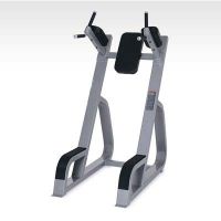 Fitness equipment/gym equipment/Vertical Knee Up & Dip