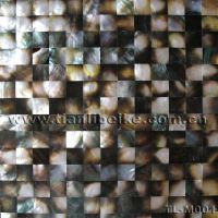 Sell mosaic tile , shell crafts, mop. floor, TL-M001
