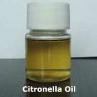 Citronella oil for sale
