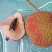 Sell litchi