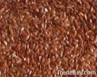 Flax seeds (linseeds)