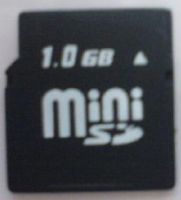 Sell Mini SD Card