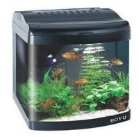 Sell acrylic aquarium1